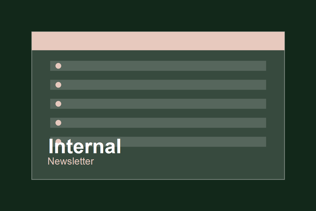 Newsletter product preview